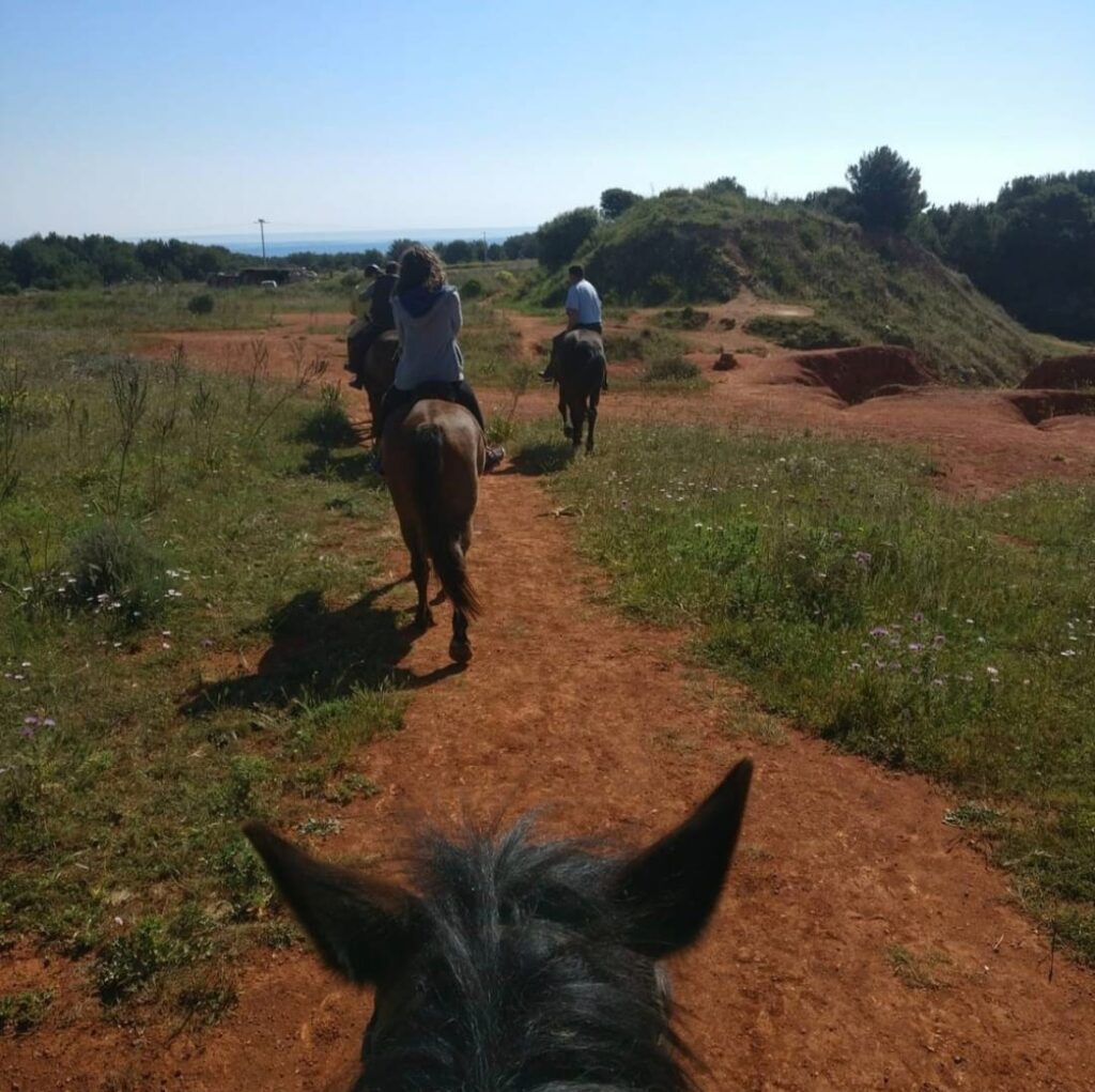 Passeggiate a cavallo in Puglia